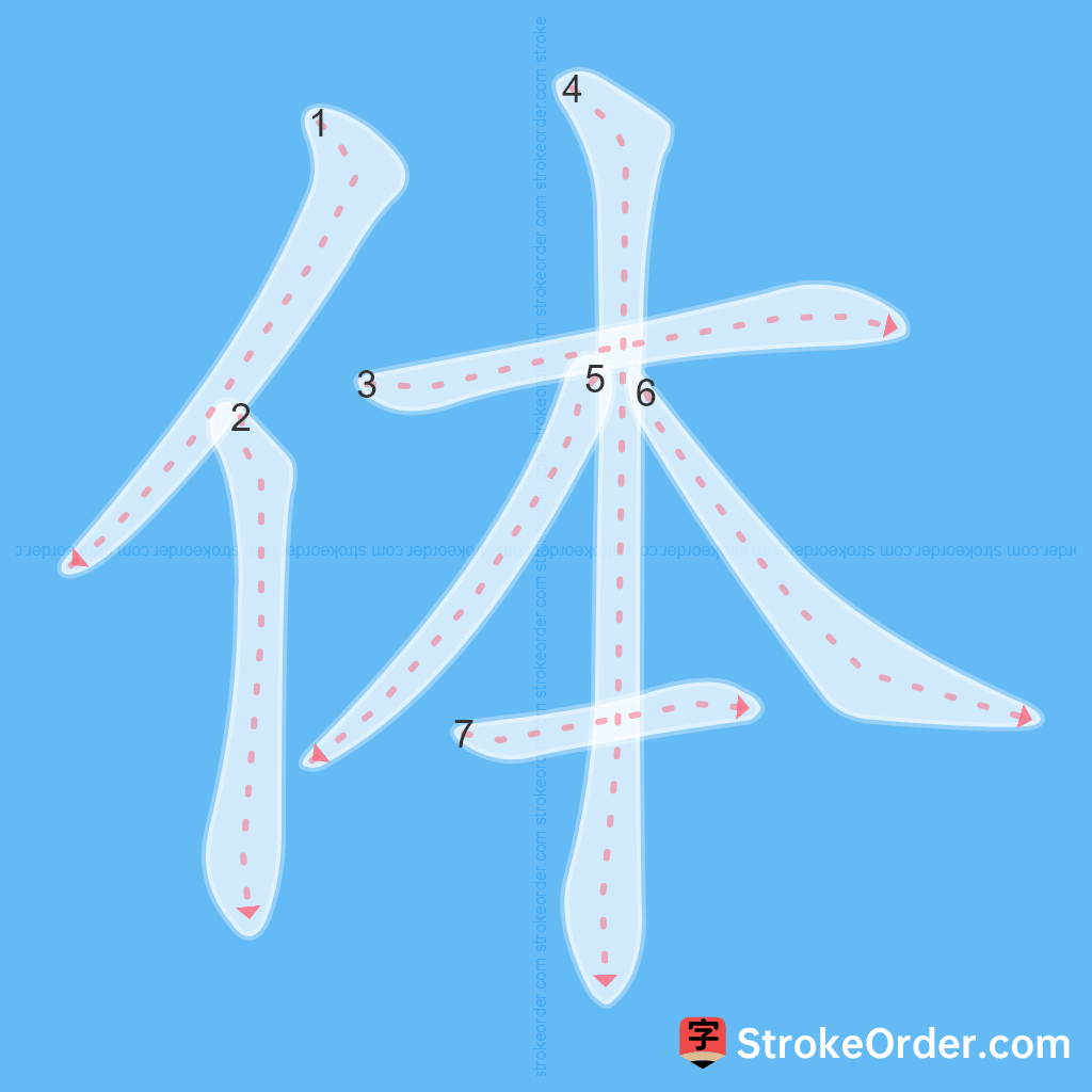 Standard stroke order for the Chinese character 体