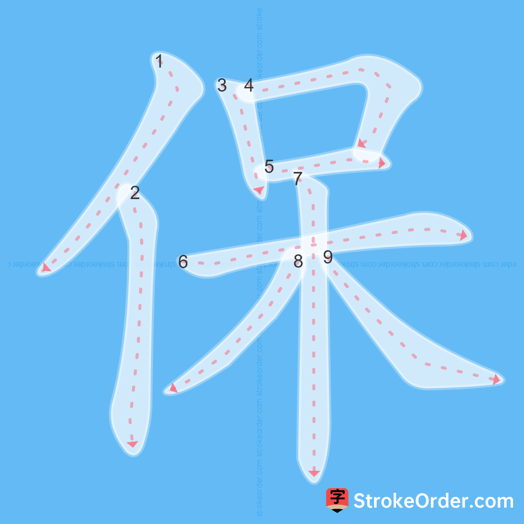 Standard stroke order for the Chinese character 保