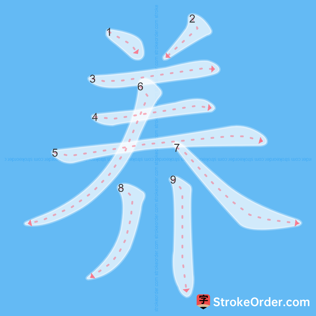 Standard stroke order for the Chinese character 养