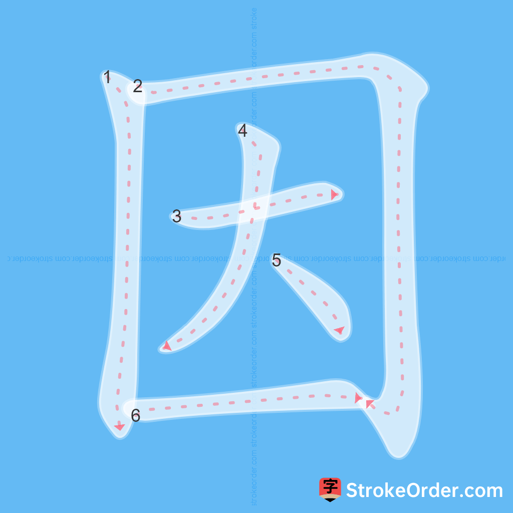 Standard stroke order for the Chinese character 因