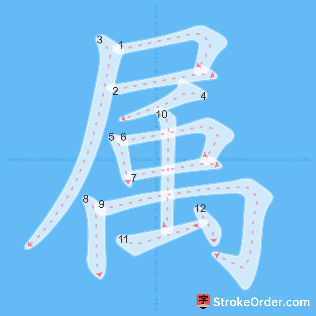 Standard stroke order for the Chinese character 属