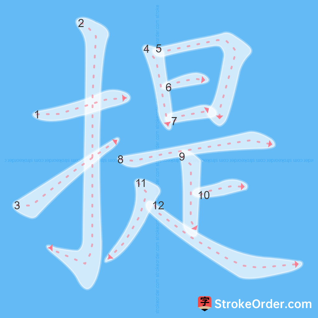 Standard stroke order for the Chinese character 提