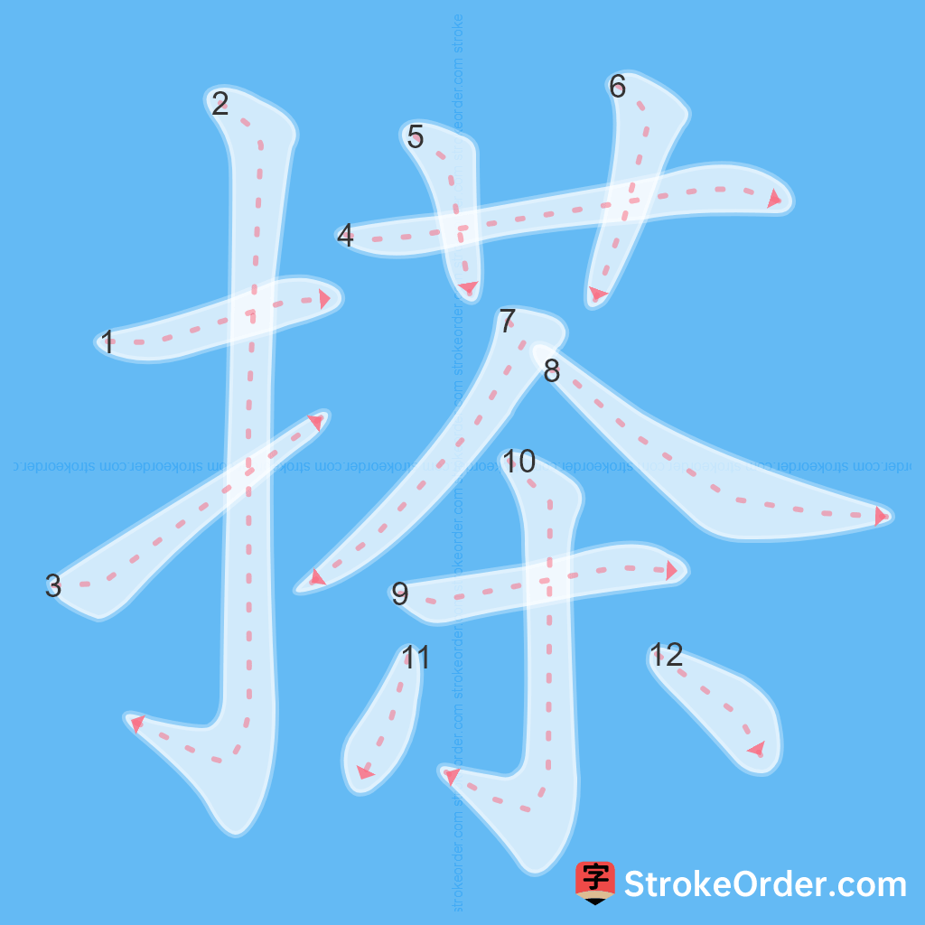 Standard stroke order for the Chinese character 搽