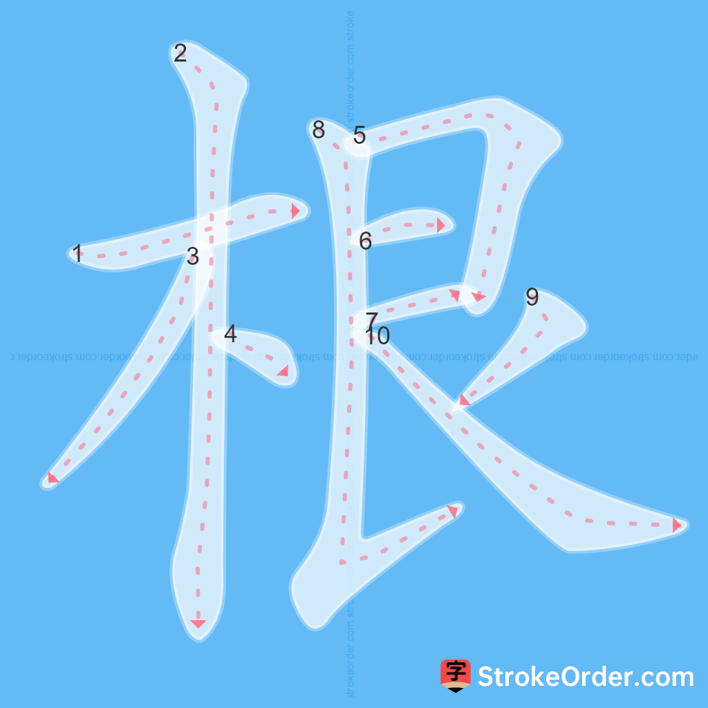 Standard stroke order for the Chinese character 根