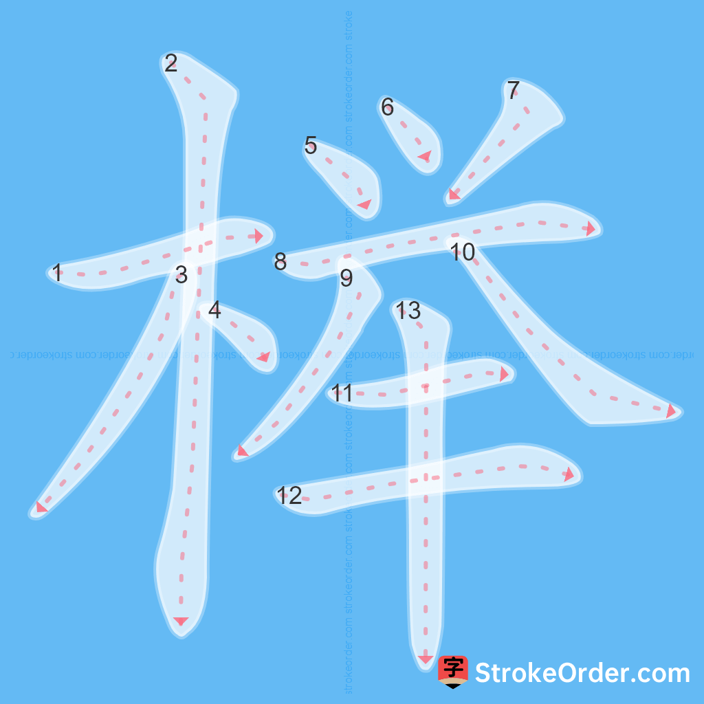 Standard stroke order for the Chinese character 榉