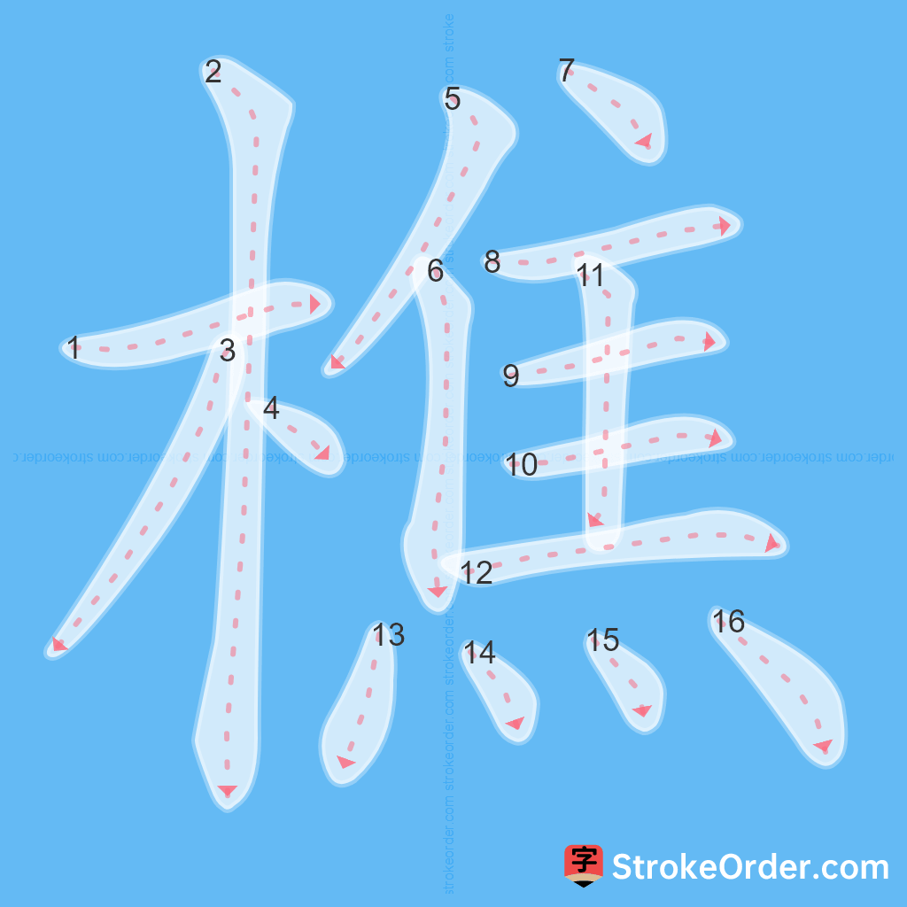 Standard stroke order for the Chinese character 樵