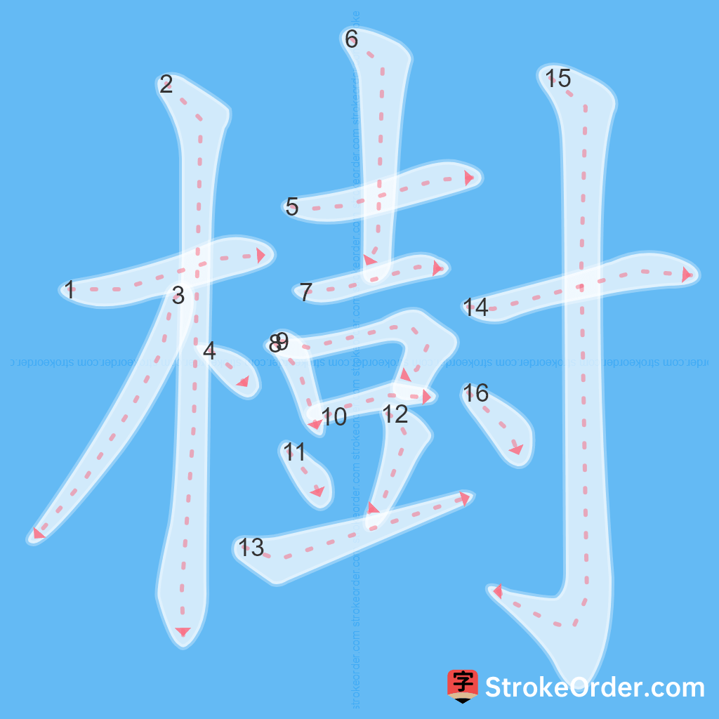 Standard stroke order for the Chinese character 樹