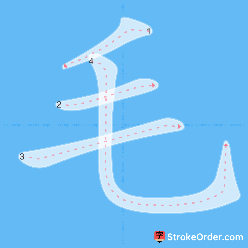 Standard stroke order for the Chinese character 毛