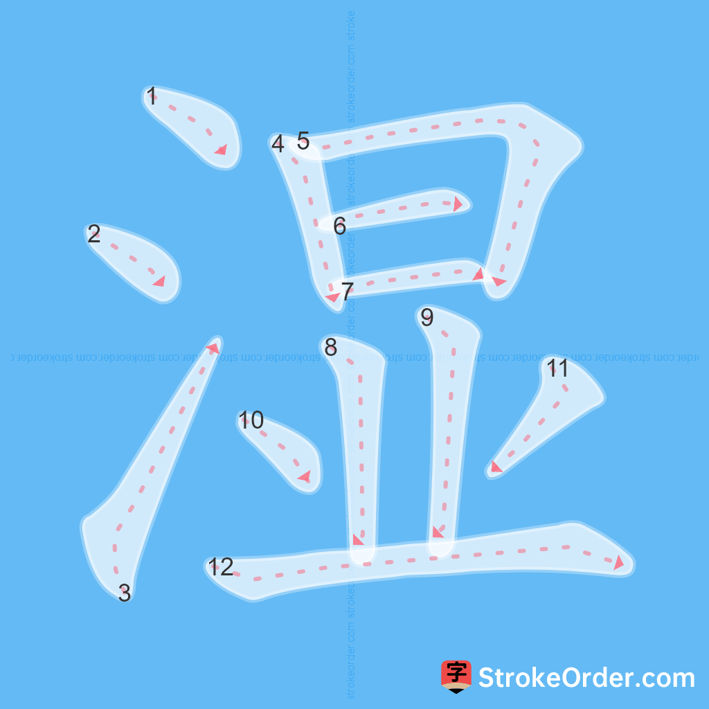 Standard stroke order for the Chinese character 湿