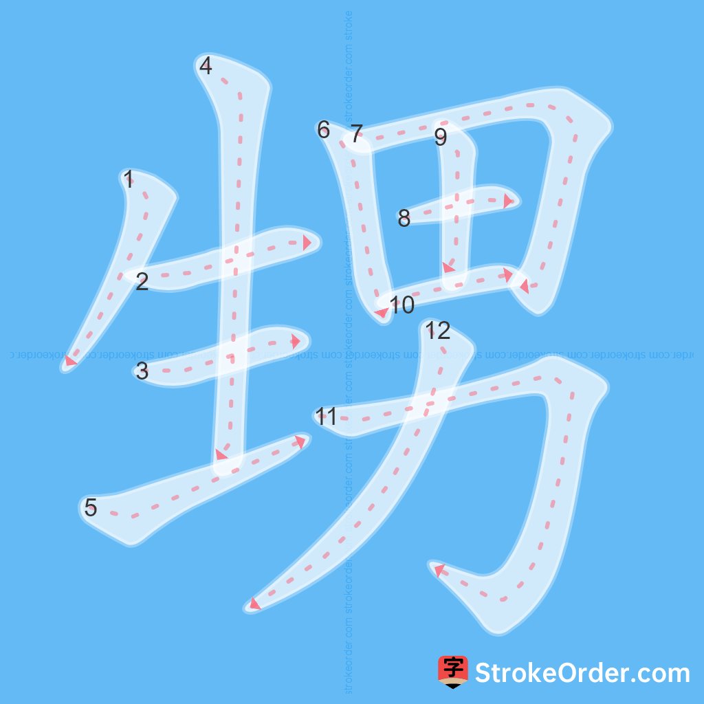 Standard stroke order for the Chinese character 甥