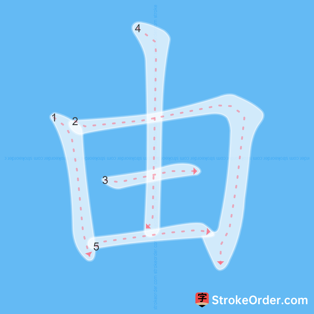 Standard stroke order for the Chinese character 由