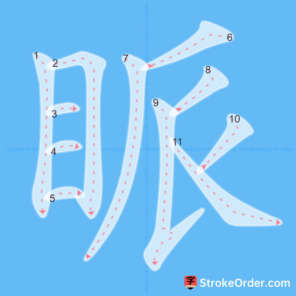 Standard stroke order for the Chinese character 眽