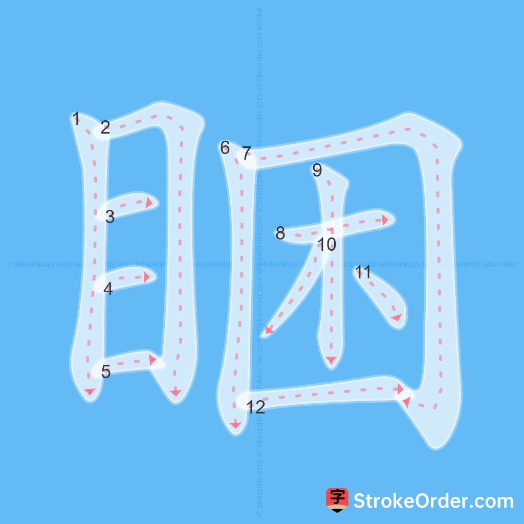 Standard stroke order for the Chinese character 睏