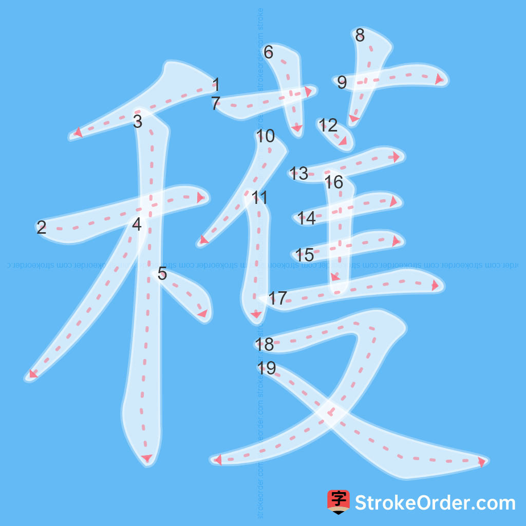 Standard stroke order for the Chinese character 穫