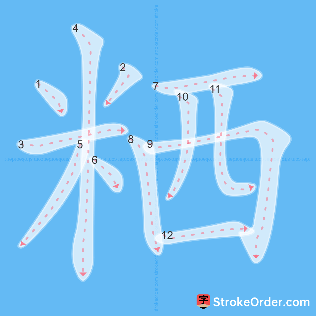 Standard stroke order for the Chinese character 粞