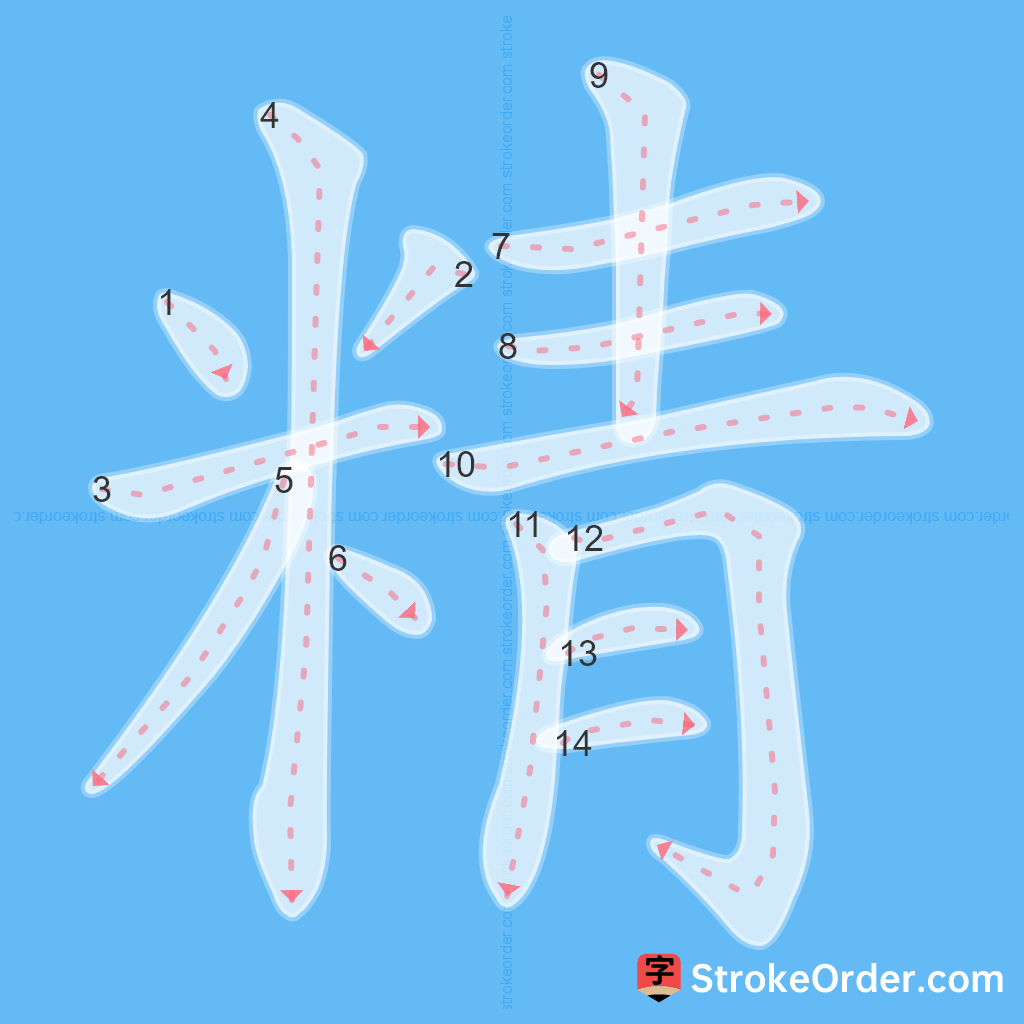 Standard stroke order for the Chinese character 精