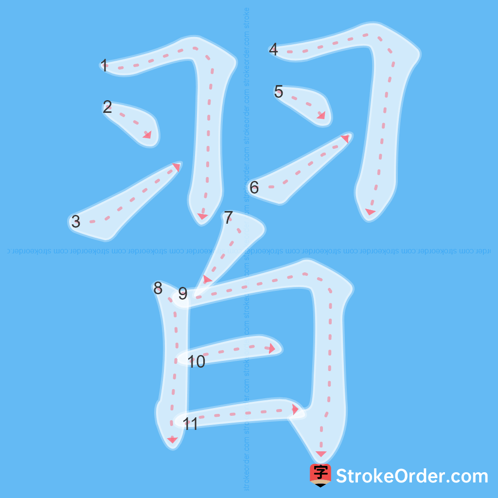 Standard stroke order for the Chinese character 習