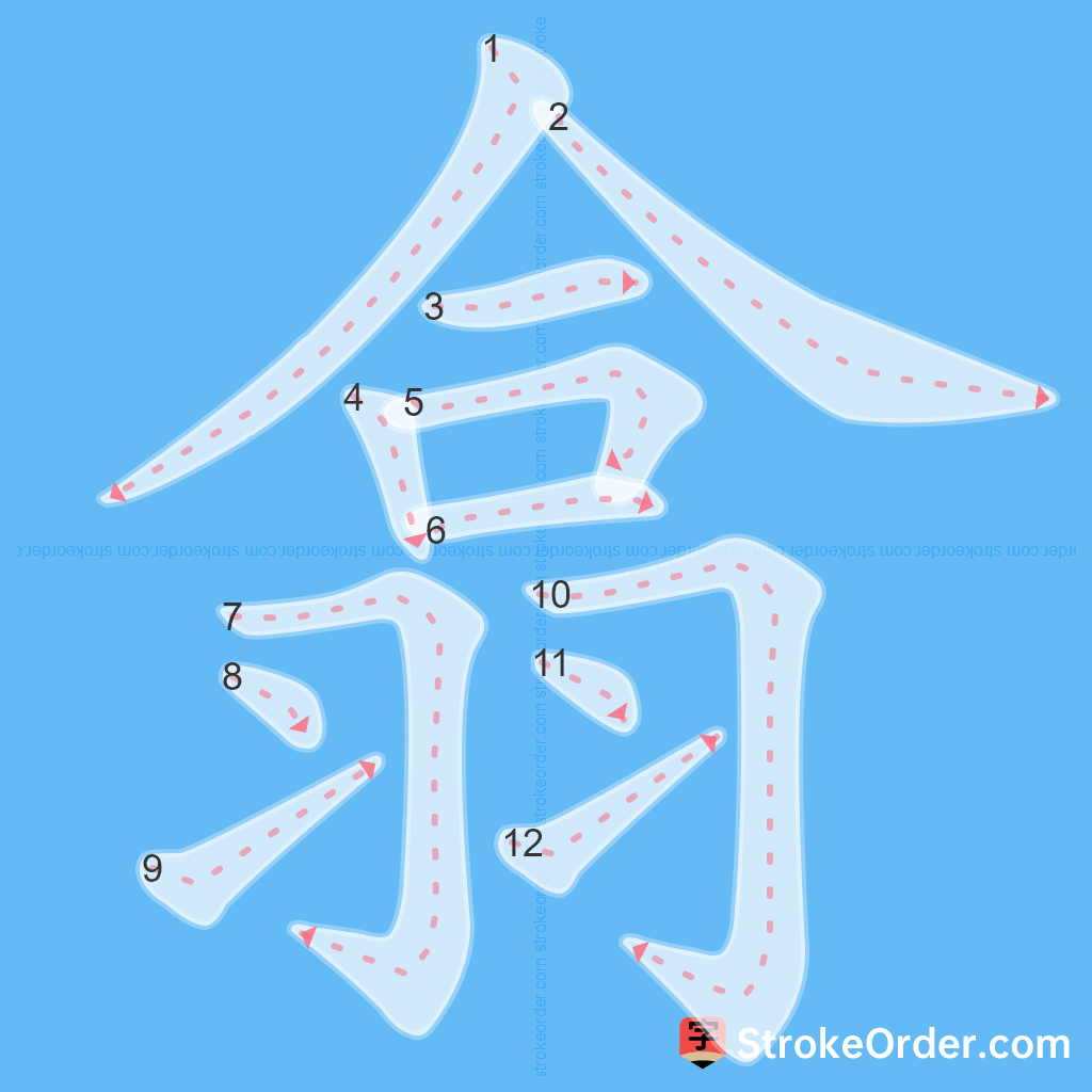 Standard stroke order for the Chinese character 翕