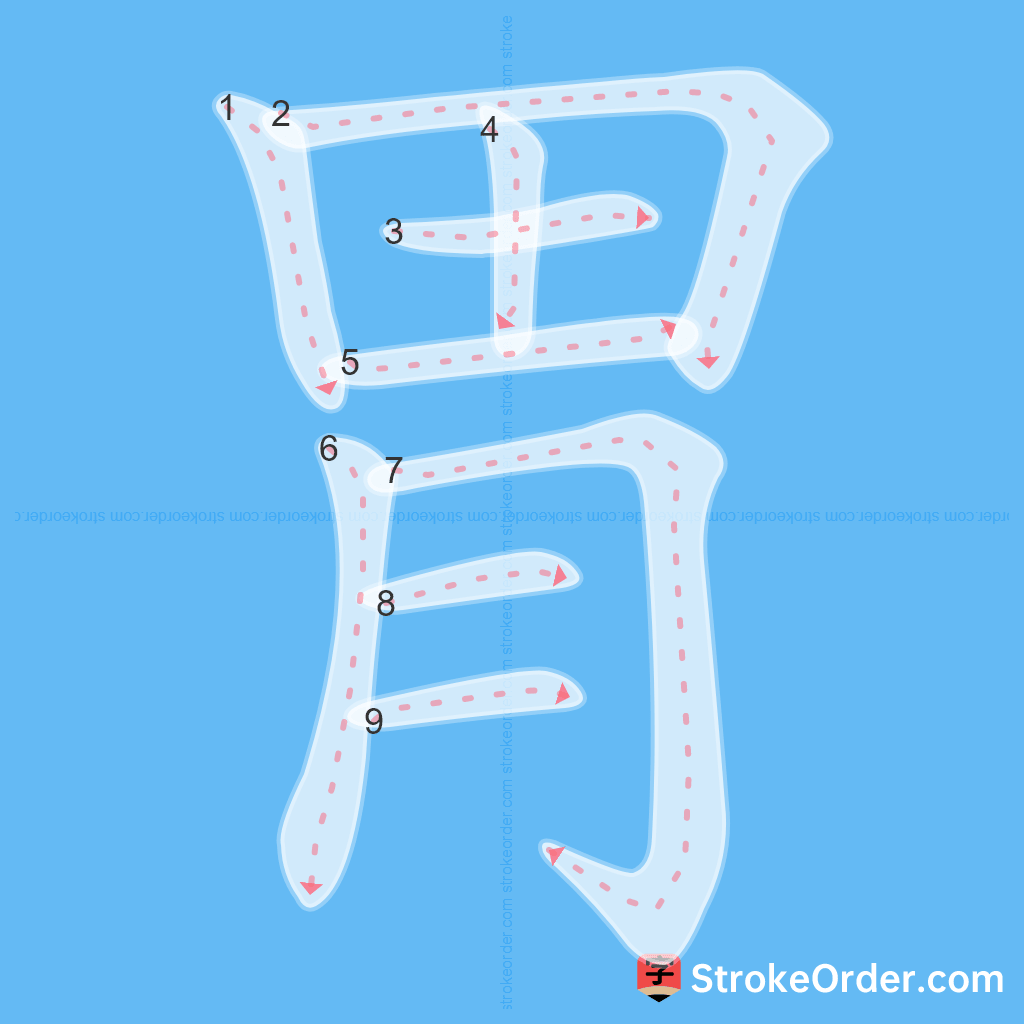 Standard stroke order for the Chinese character 胃