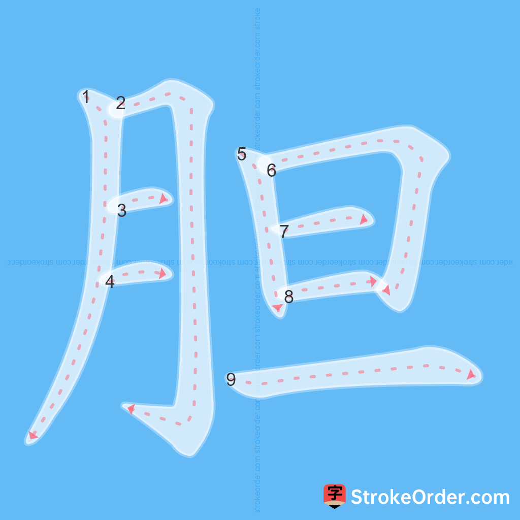 Standard stroke order for the Chinese character 胆