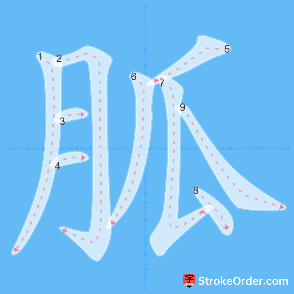 Standard stroke order for the Chinese character 胍