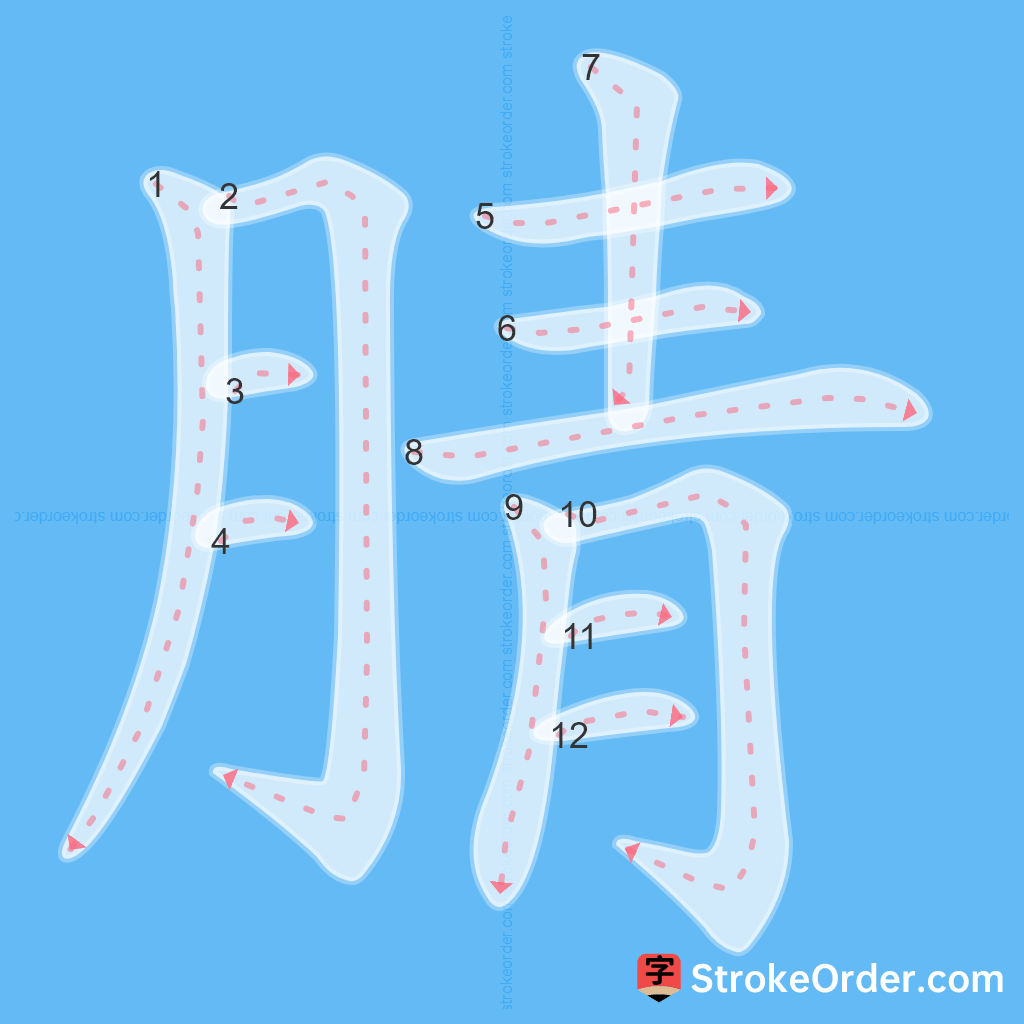 Standard stroke order for the Chinese character 腈