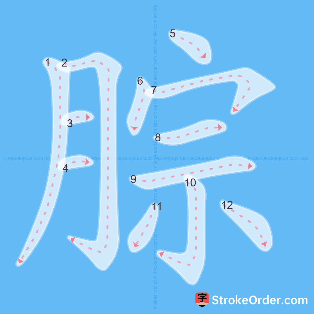 Standard stroke order for the Chinese character 腙