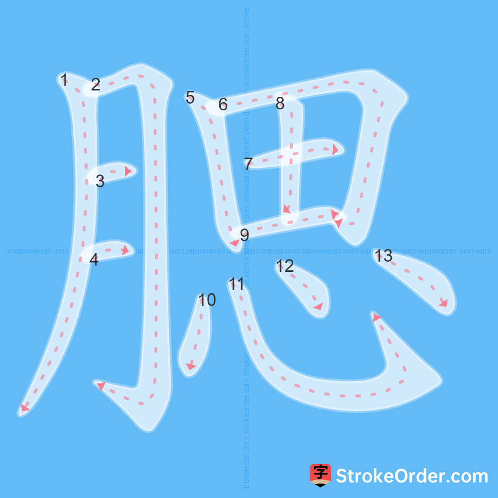 Standard stroke order for the Chinese character 腮