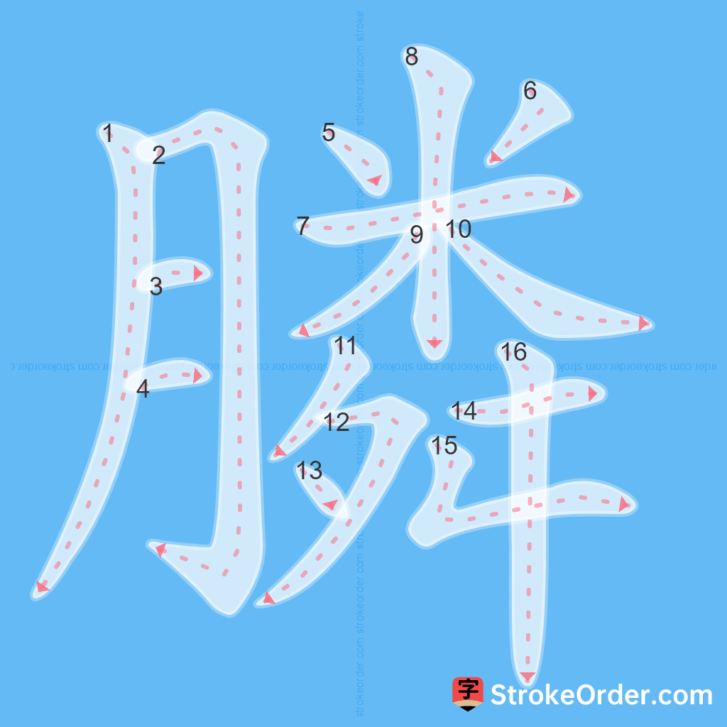 Standard stroke order for the Chinese character 膦