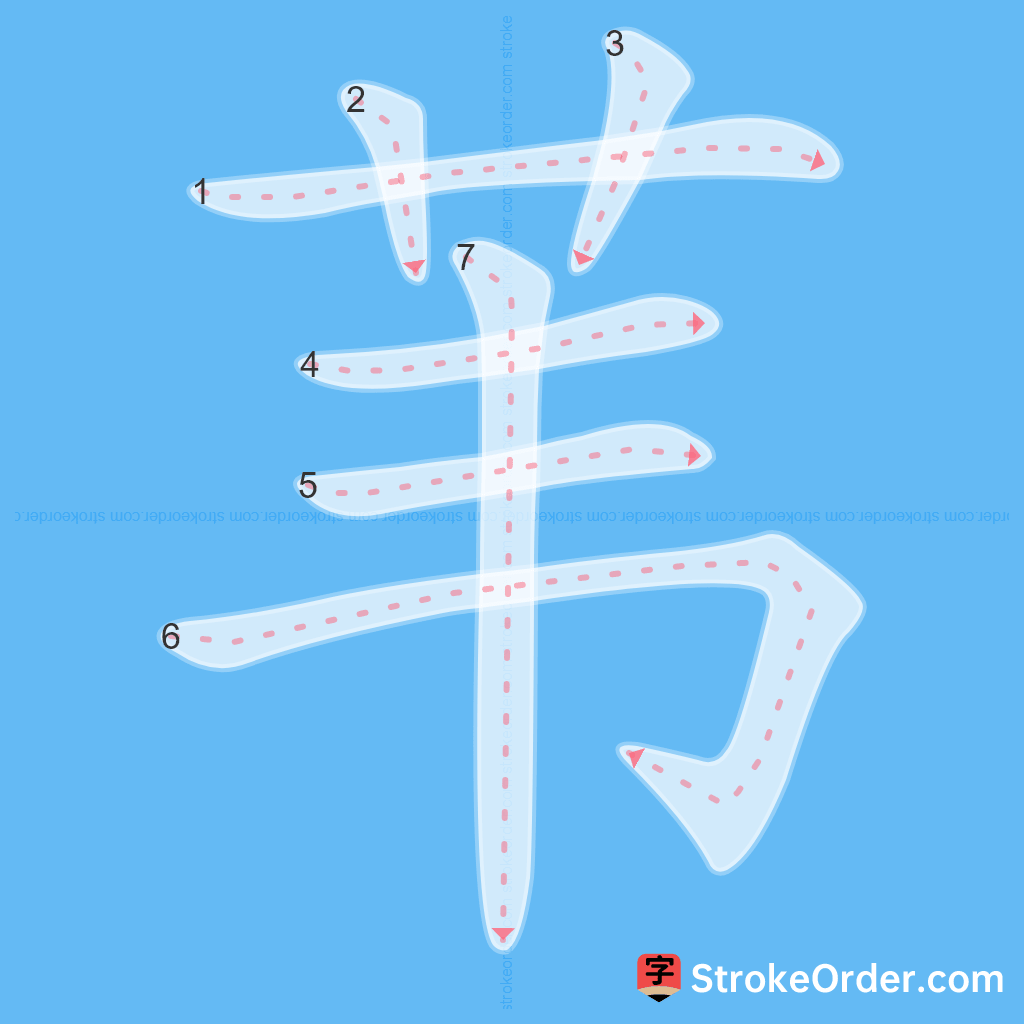 Standard stroke order for the Chinese character 苇