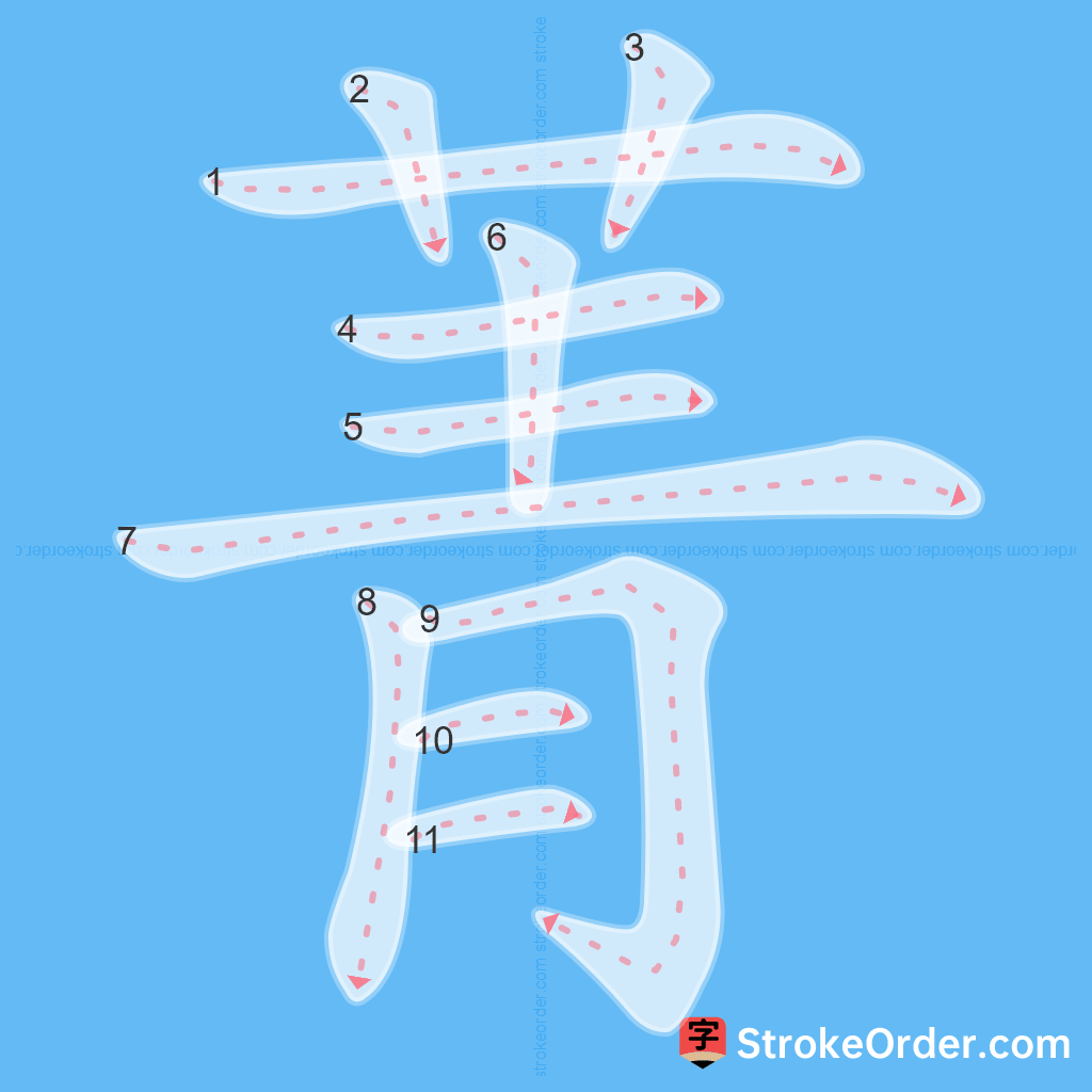 Standard stroke order for the Chinese character 菁