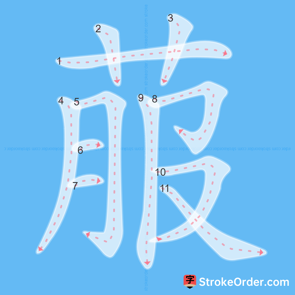 Standard stroke order for the Chinese character 菔