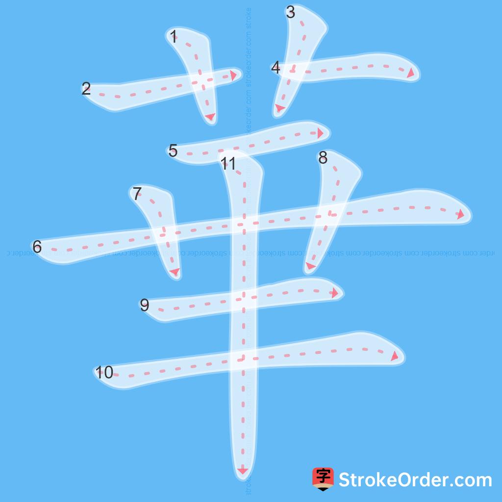 Standard stroke order for the Chinese character 華