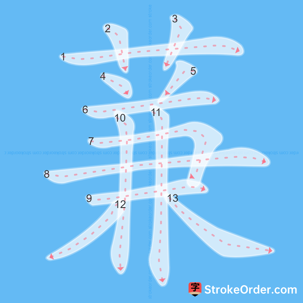 Standard stroke order for the Chinese character 蒹