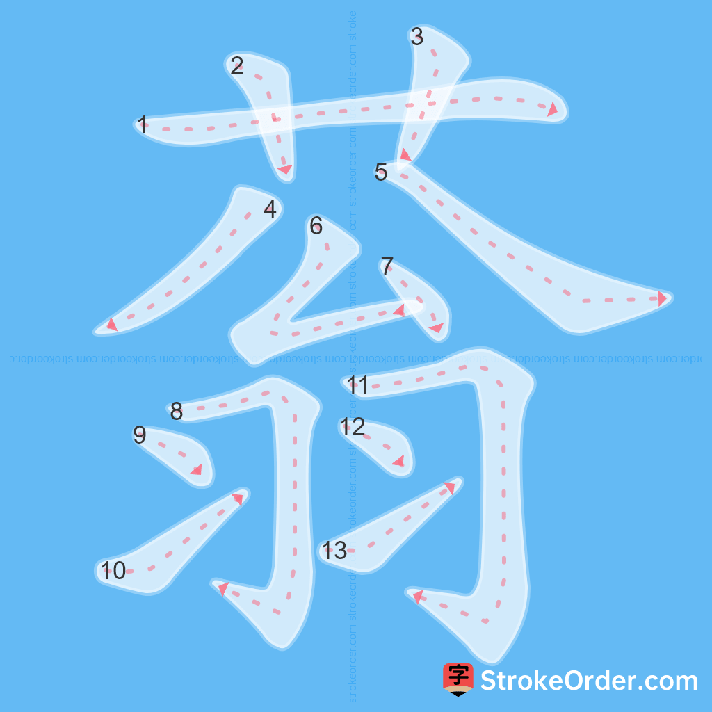 Standard stroke order for the Chinese character 蓊