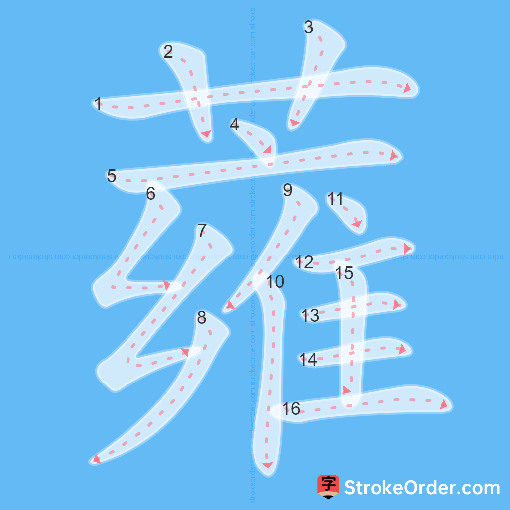 Standard stroke order for the Chinese character 蕹