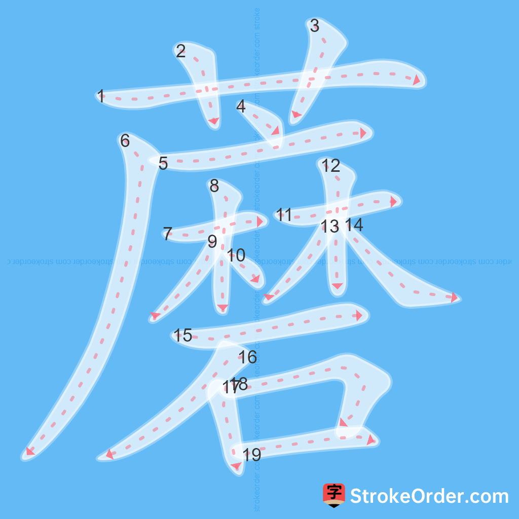 Standard stroke order for the Chinese character 蘑