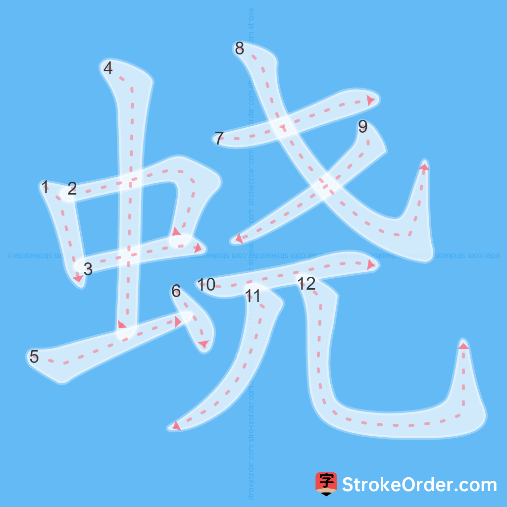 Standard stroke order for the Chinese character 蛲