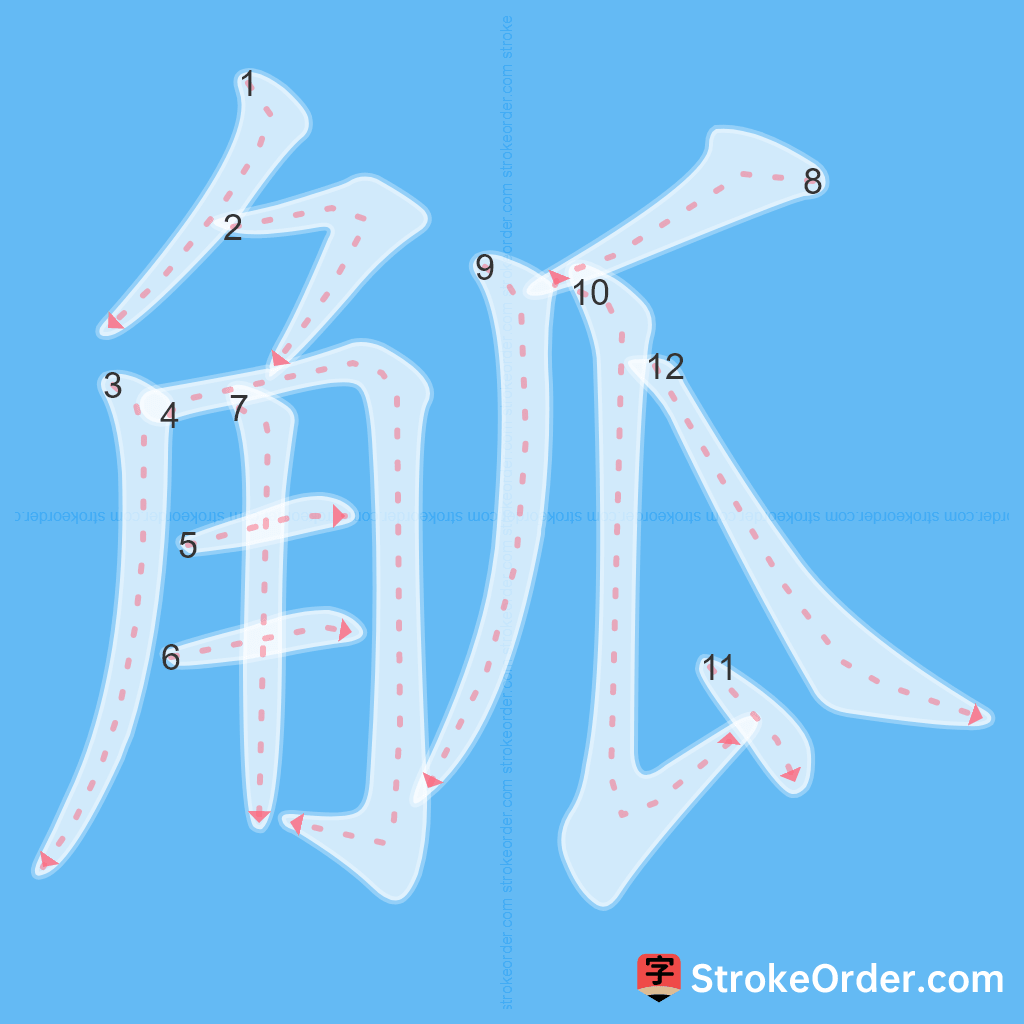 Standard stroke order for the Chinese character 觚