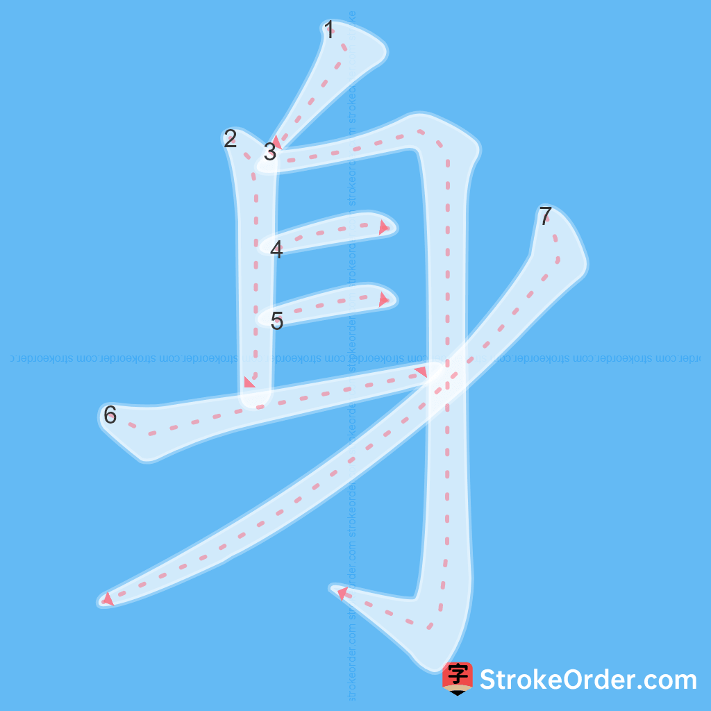 Standard stroke order for the Chinese character 身