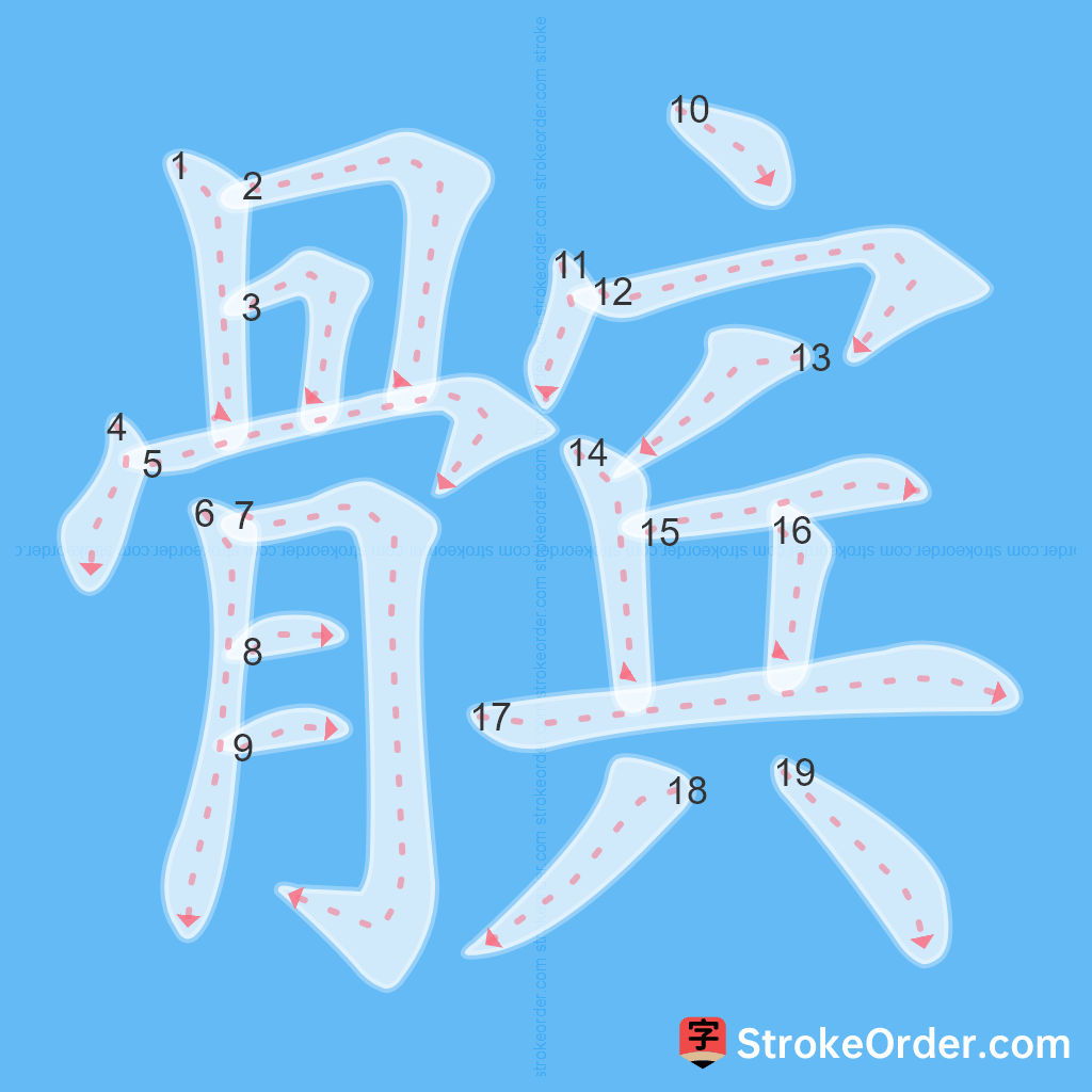 Standard stroke order for the Chinese character 髌