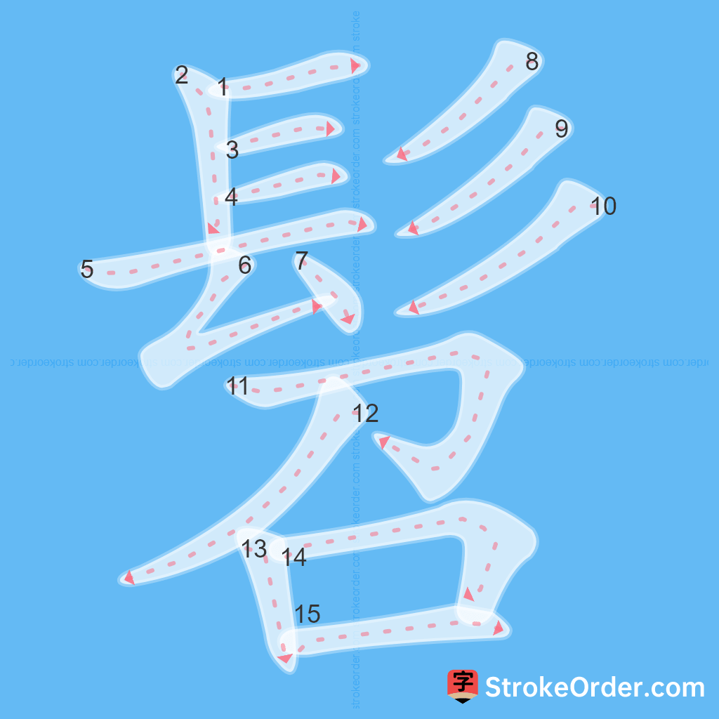 Standard stroke order for the Chinese character 髫