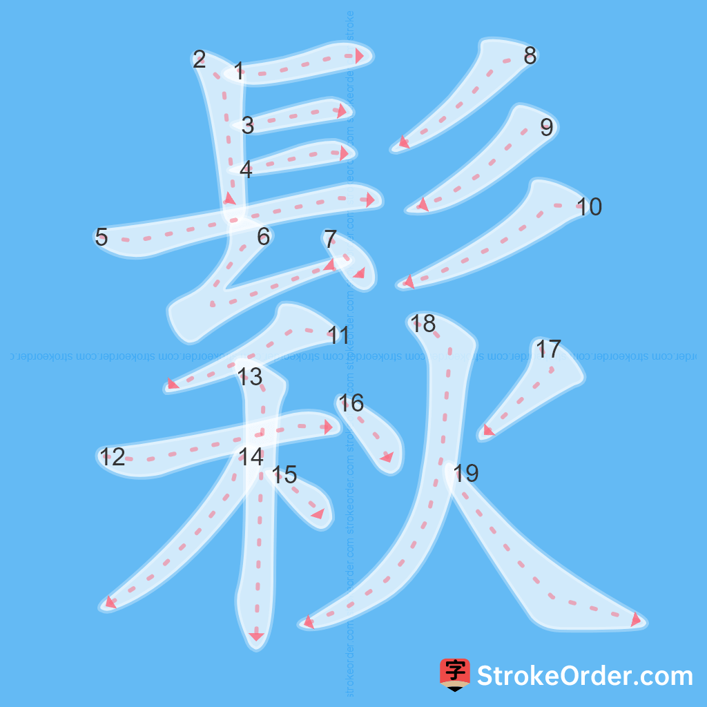 Standard stroke order for the Chinese character 鬏