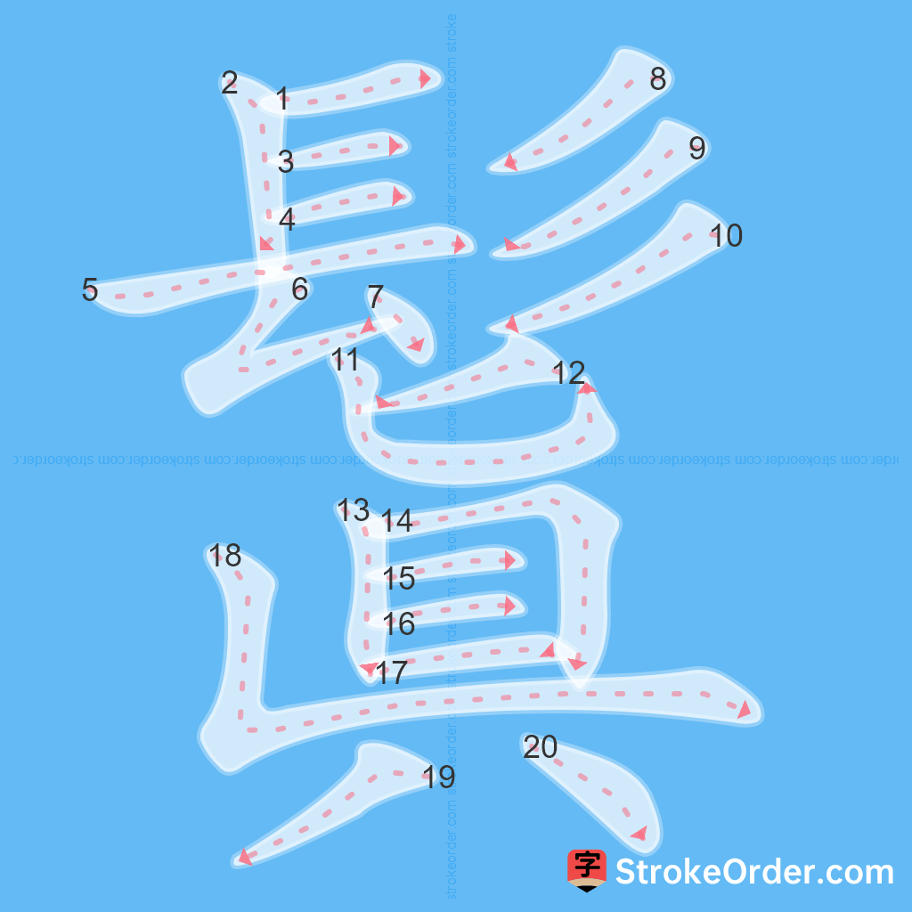 Standard stroke order for the Chinese character 鬒