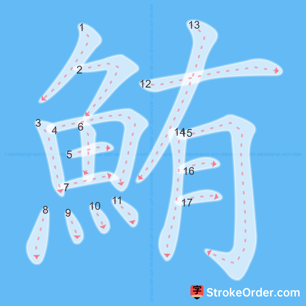 Standard stroke order for the Chinese character 鮪