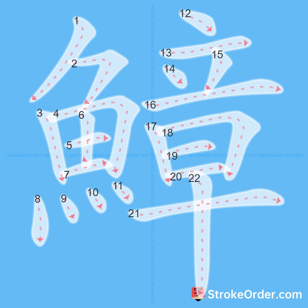 Standard stroke order for the Chinese character 鱆