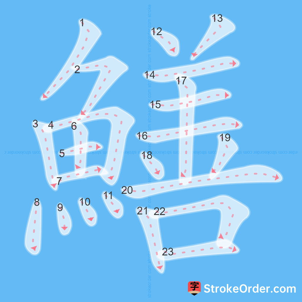 Standard stroke order for the Chinese character 鱔