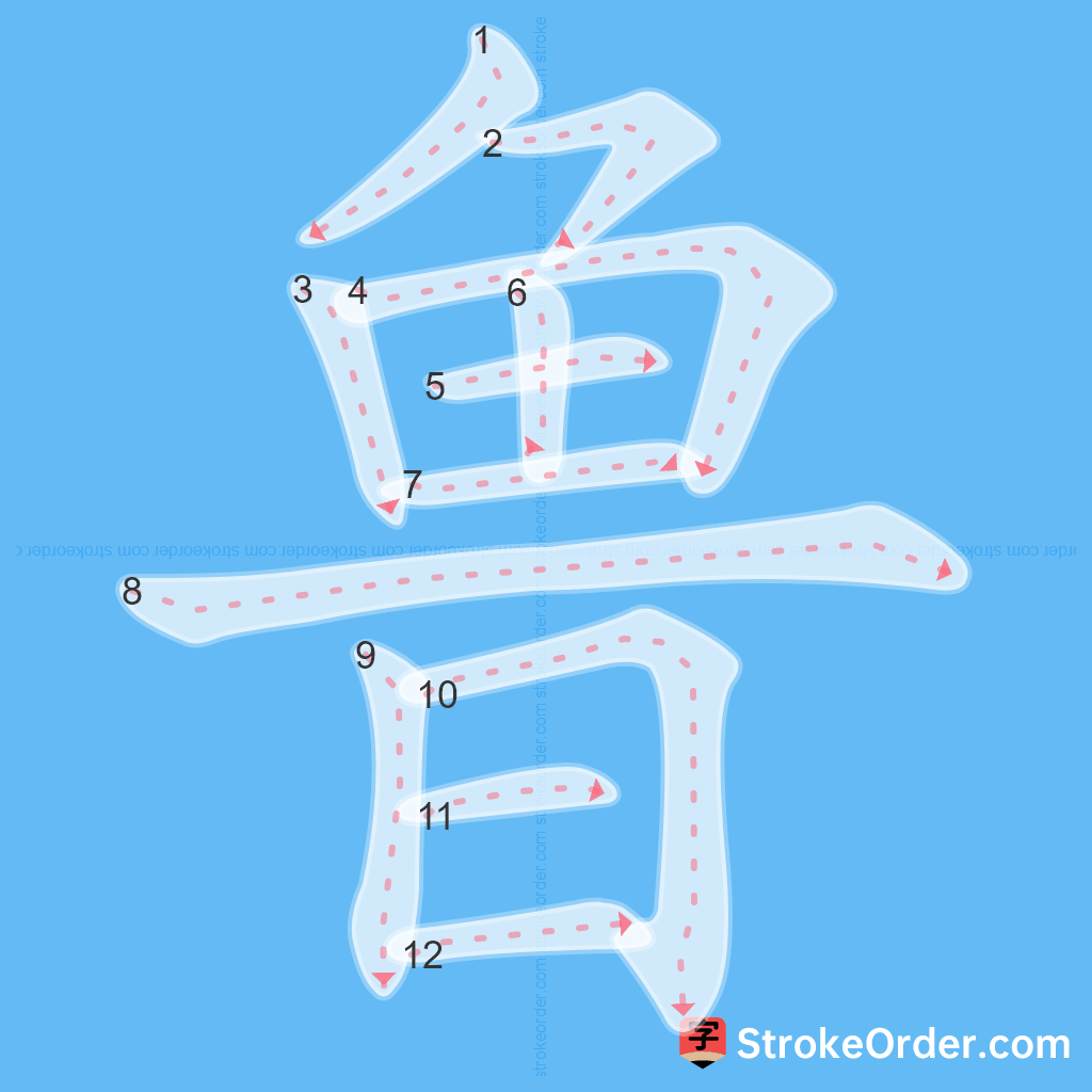 Standard stroke order for the Chinese character 鲁