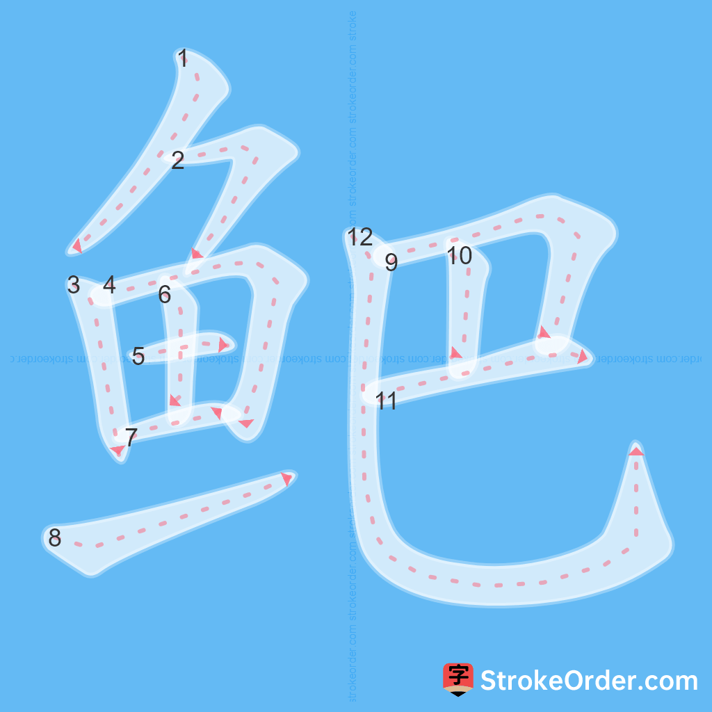 Standard stroke order for the Chinese character 鲃