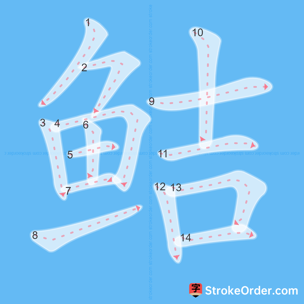 Standard stroke order for the Chinese character 鲒